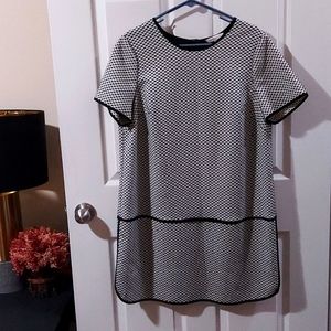 NWOT Size 16 Shift Dress The Limited